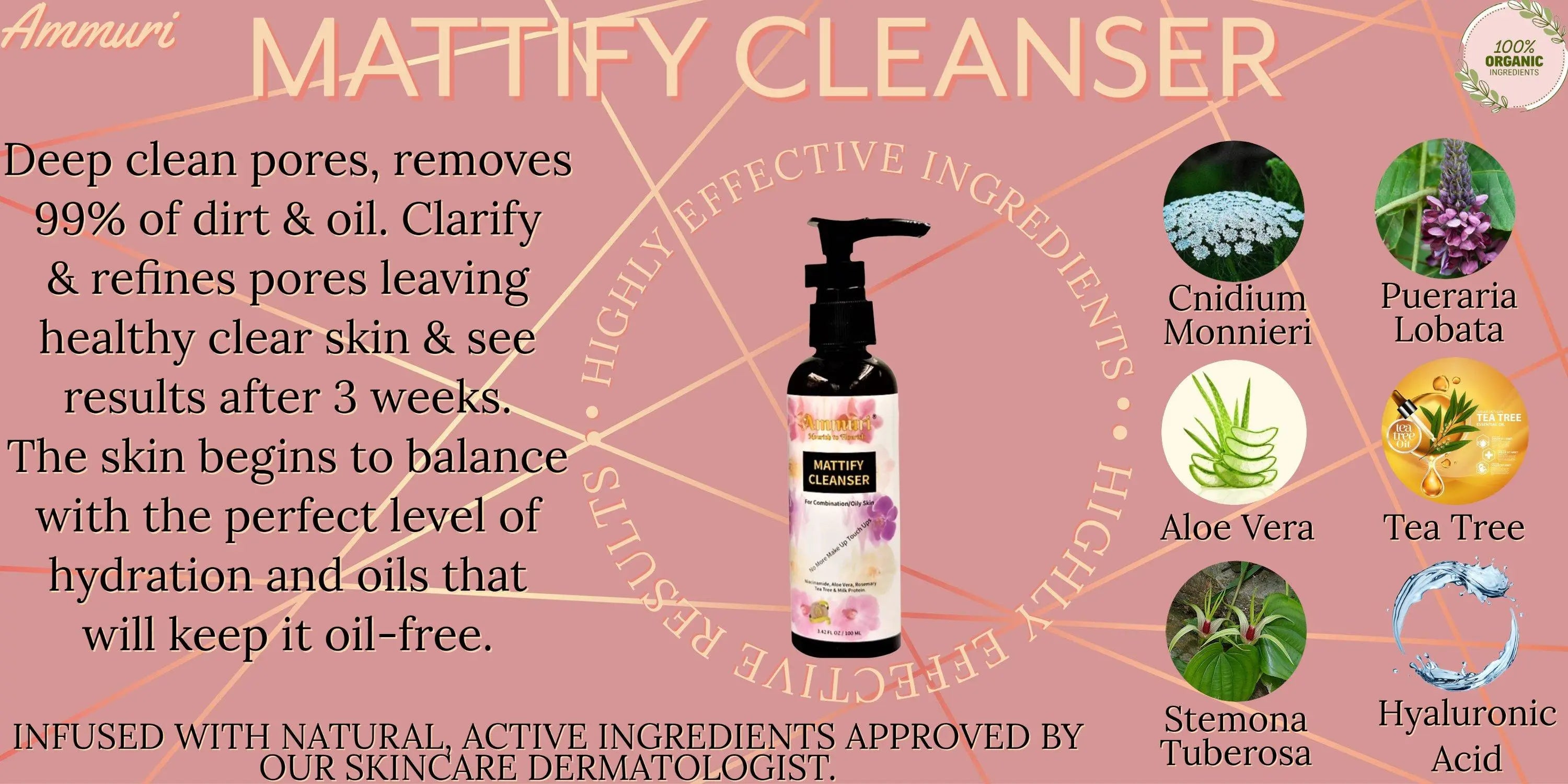 Ammuri Mattify Cleanser Face Wash Niacinamide, Tea Tree Oil, Aloe Vera & Milk Protein Ammuri Skincare