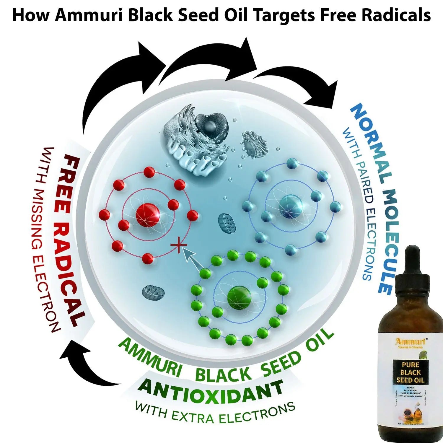 Pure Organic Black Seed Oil 100% Virgin cold pressed High Strength Seed Of Blessing Ammuri Skincare